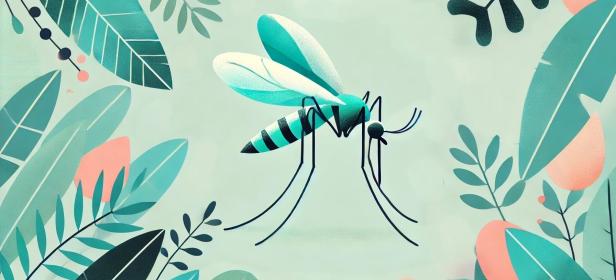 todo sobre el mosquito del dengue en colombia